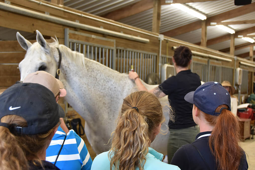 Act Fast! USHJA Horsemanship Stable Challenge Ends July 15!